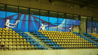 mksports体育-新加坡队未来计划：建立更完善的青少年乒乓培养体系，新加坡乒乓球运动